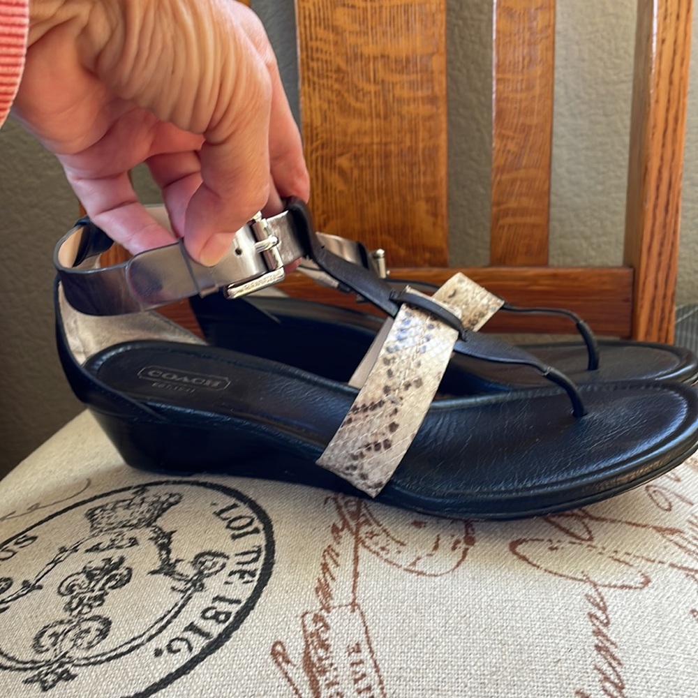 Coach sandals - Velvet - Picture 3 of 7